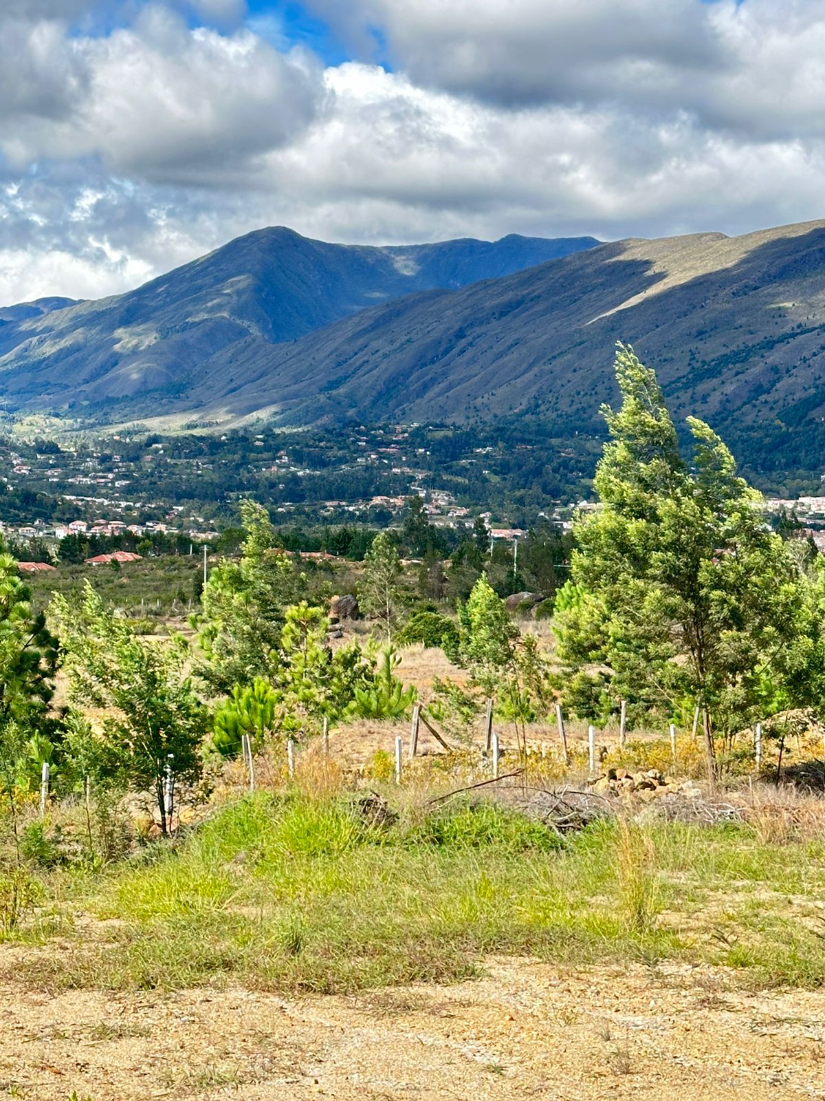 lote en villa de leyva