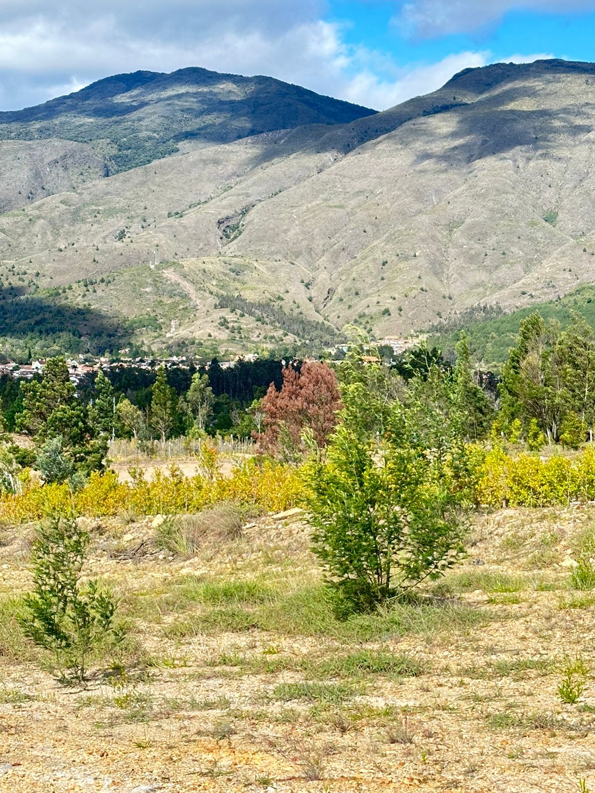 finca raiz boyaca