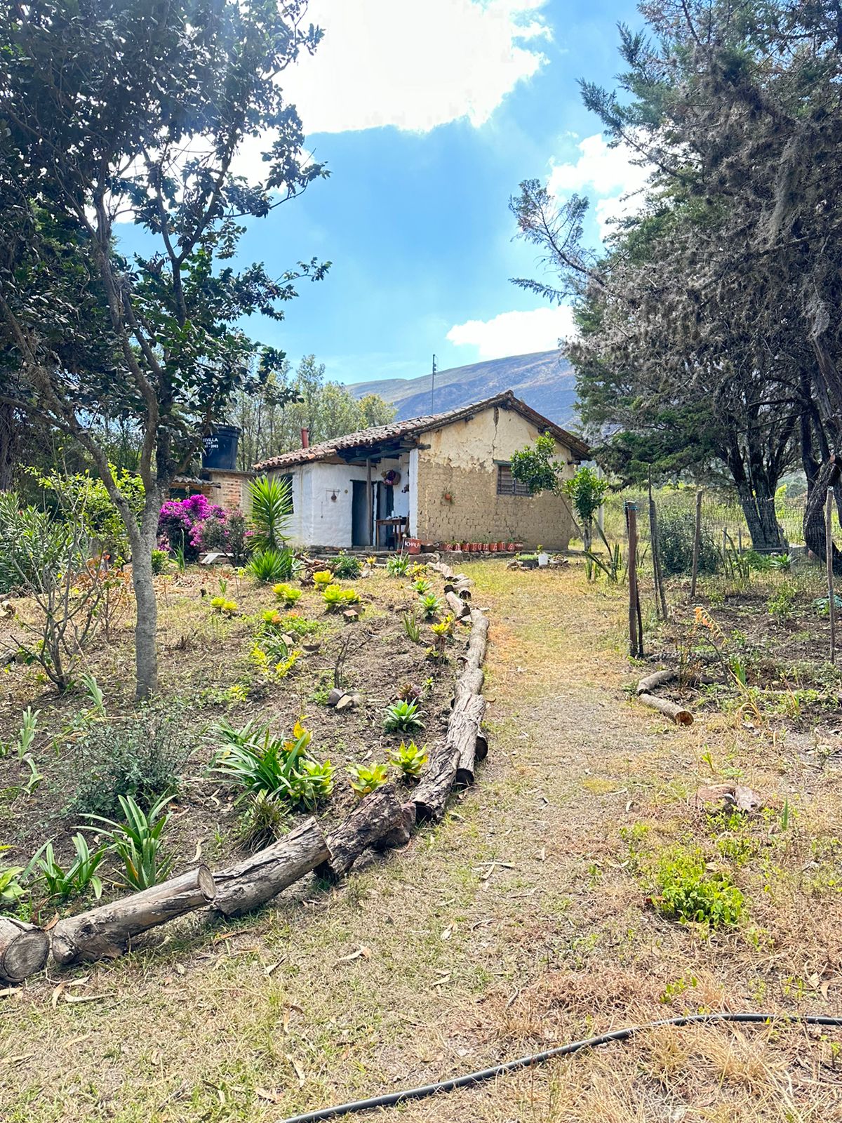 Lotes en villa de leyva