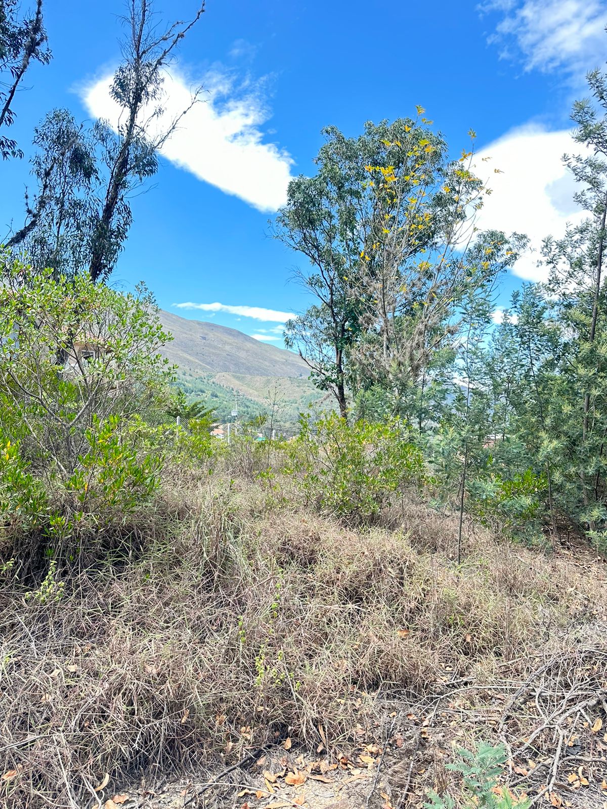 Lotes en villa de leyva