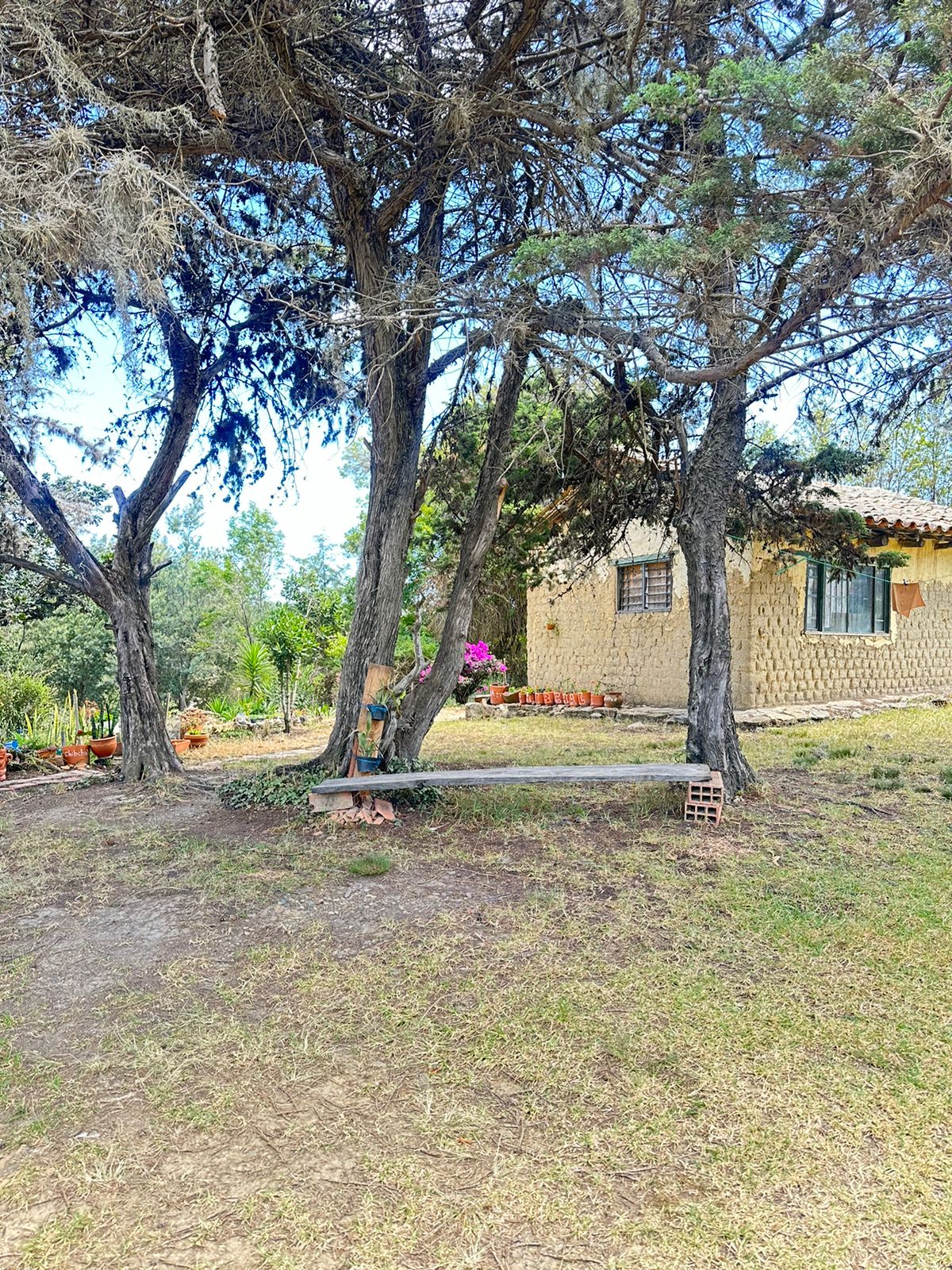 Lotes en villa de leyva