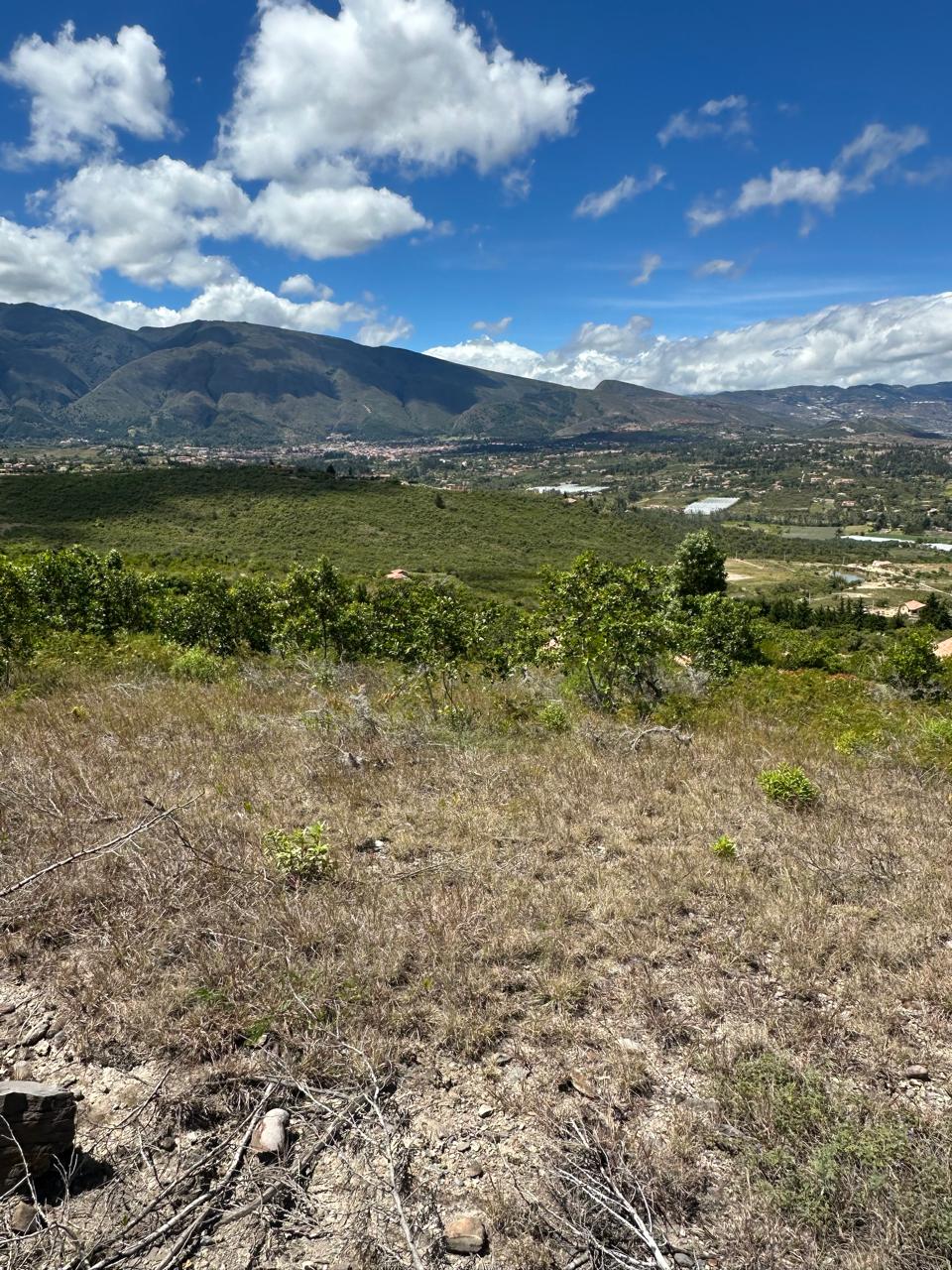lote finca raiz en villa de leyva comprar
