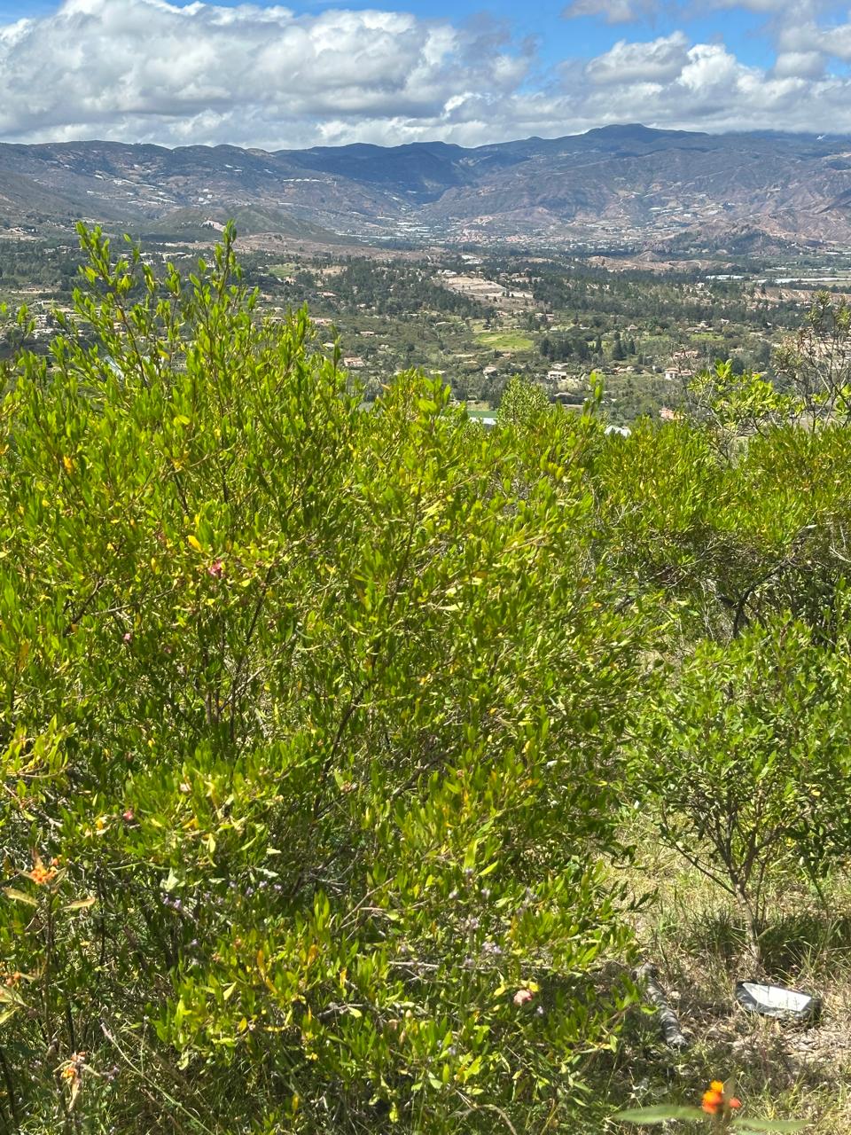 lotes villa de leyva finca raiz