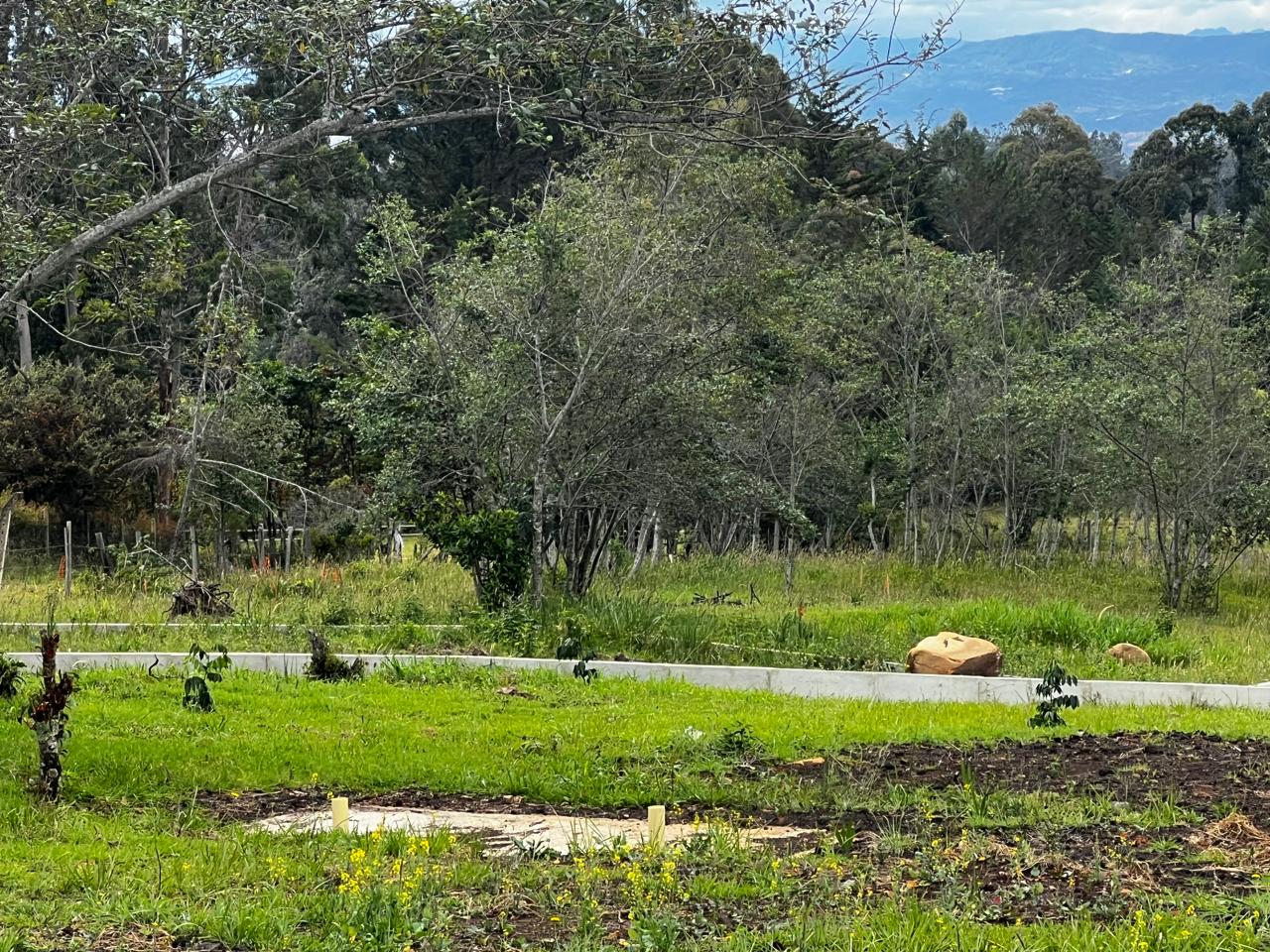 WhatsApp Image 2026-03-13 at 10.26.06 AM (2)