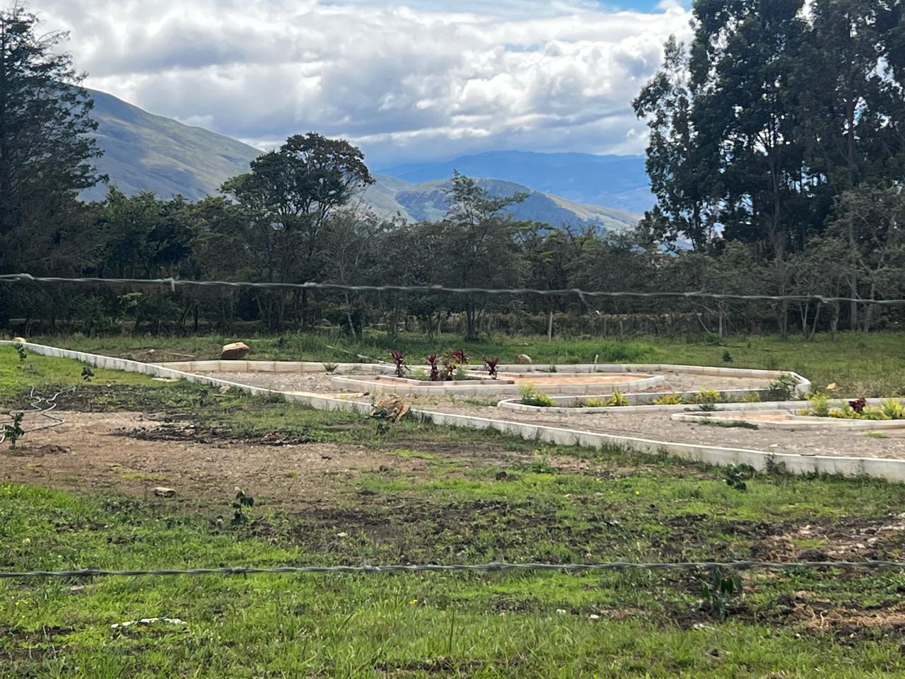 WhatsApp Image 2026-03-13 at 10.26.07 AM (5)